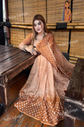 Glossy Silk Saree (DP-107)