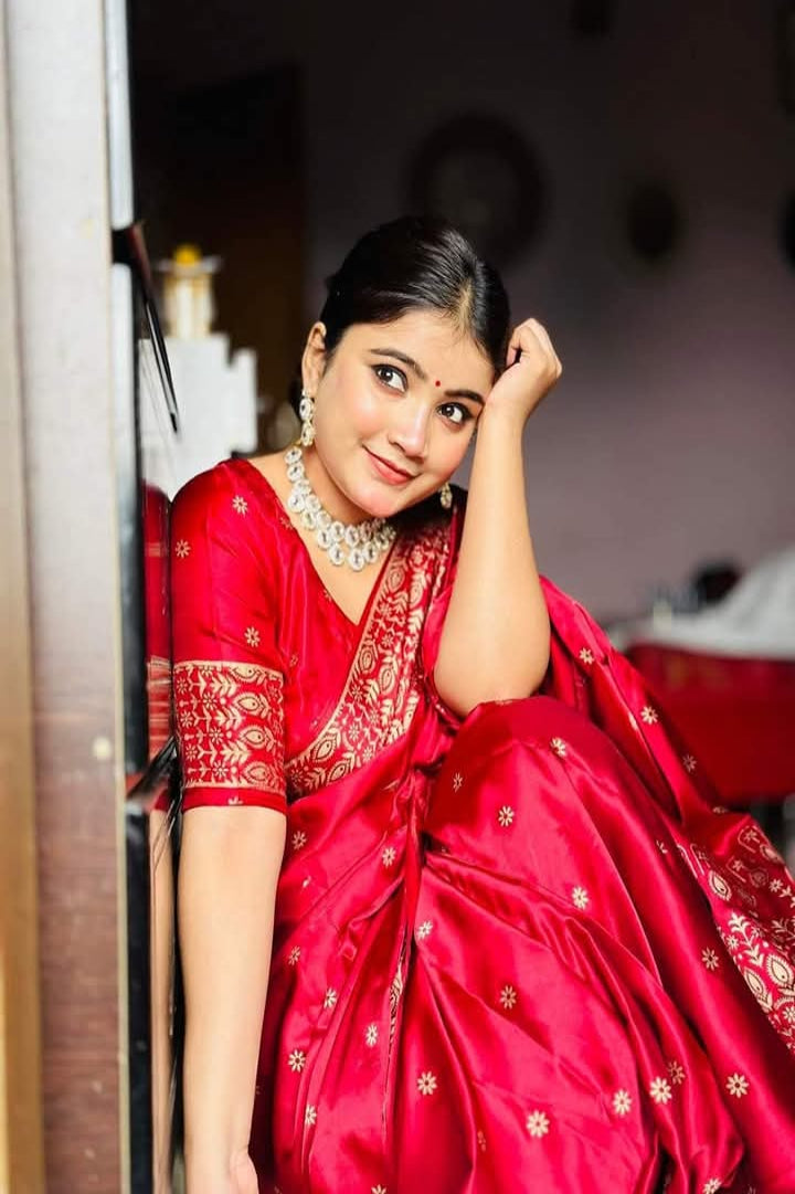 Premium Silk Saree (PS-10)
